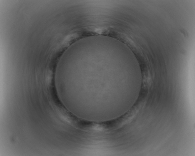 X0000115490656200911061308