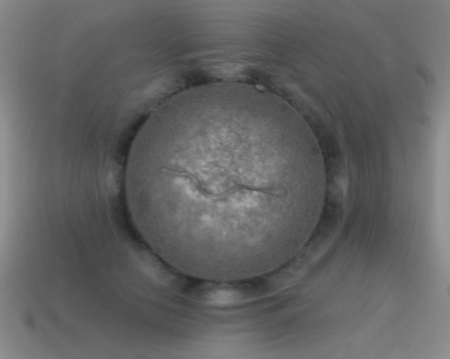 X0000115490658200911061308