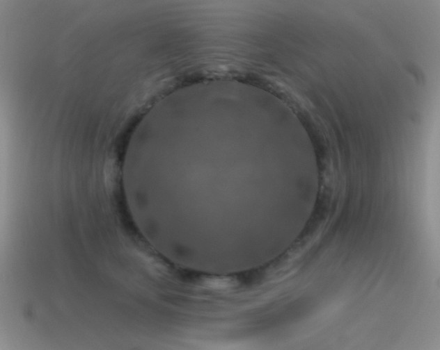 X0000115490659200911061308