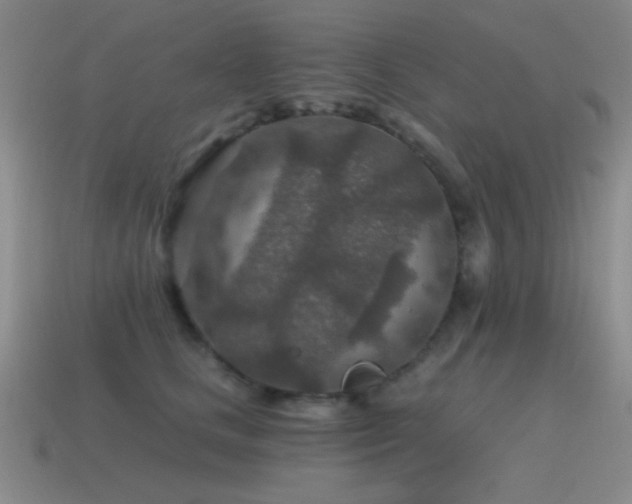 X0000115490661200911061308