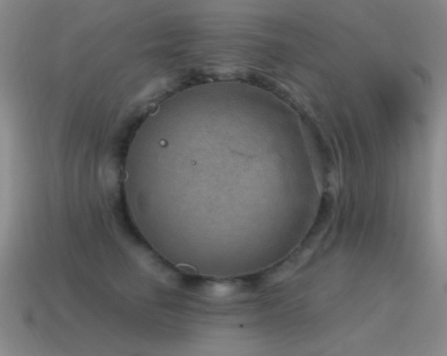 X0000115490662200911061308