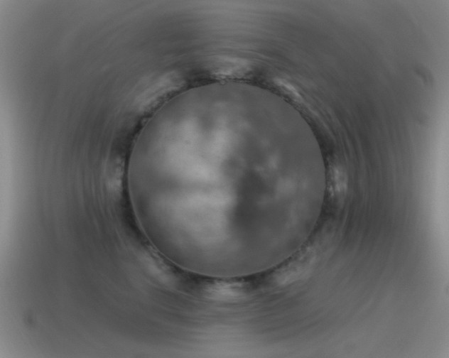 X0000115490664200911061308