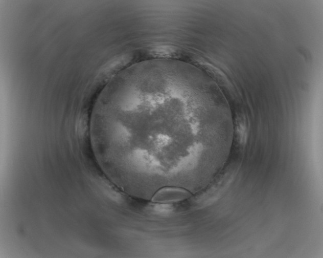 X0000115490665200911061308