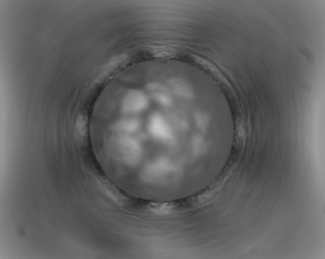 X0000115490667200911061308