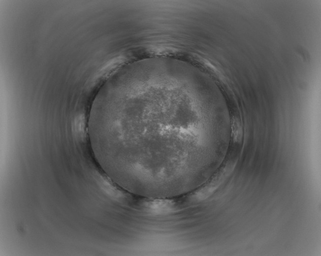 X0000115490670200911061308