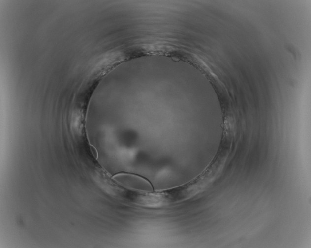 X0000115490671200911061308
