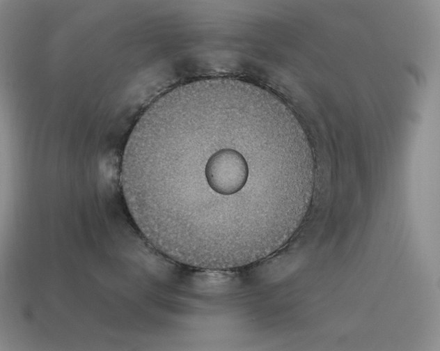 X0000115490672200911061308
