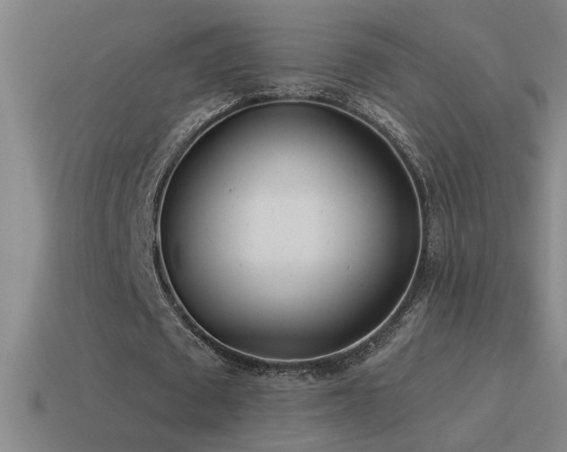 X0000115490673200911061307