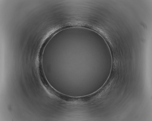 X0000115490674200911061307