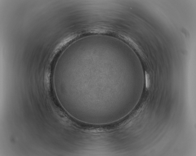 X0000115490675200911061307