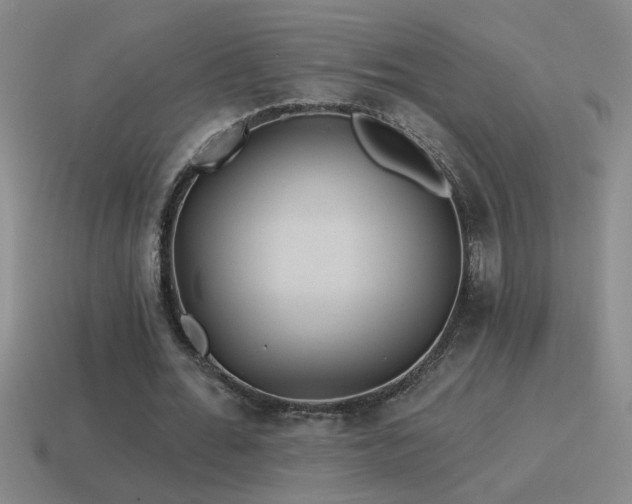 X0000115490676200911061307