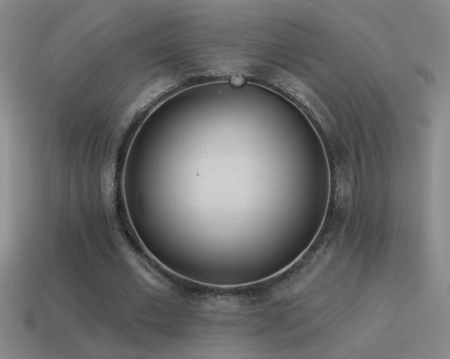 X0000115490677200911061307