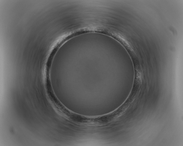 X0000115490678200911061307