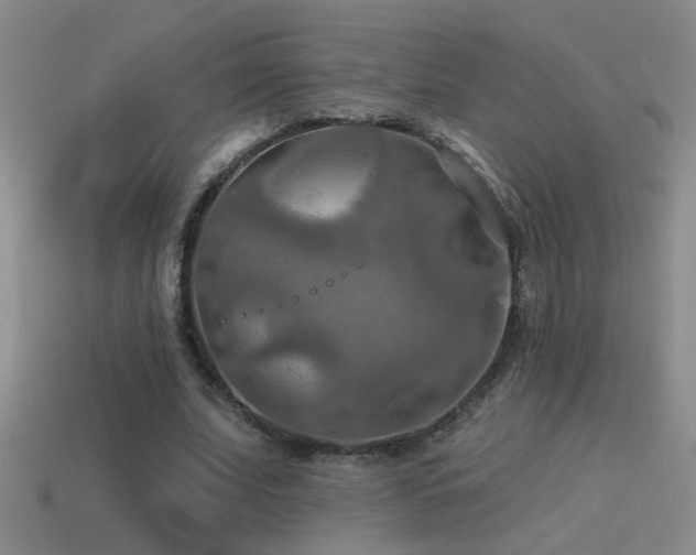 X0000115490679200911061307