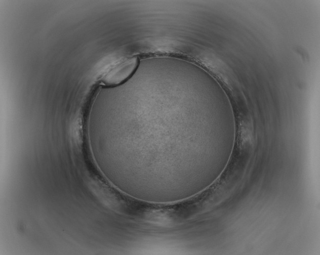 X0000115490680200911061307
