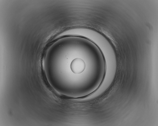 X0000115490681200911061307