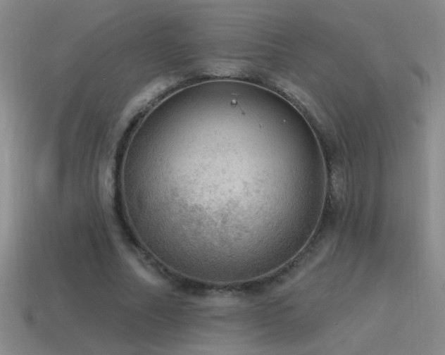 X0000115490682200911061307
