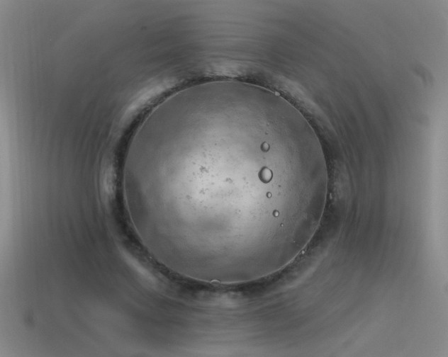X0000115490683200911061307