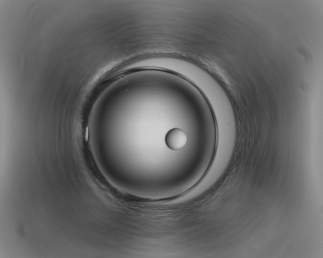 X0000115490684200911061307
