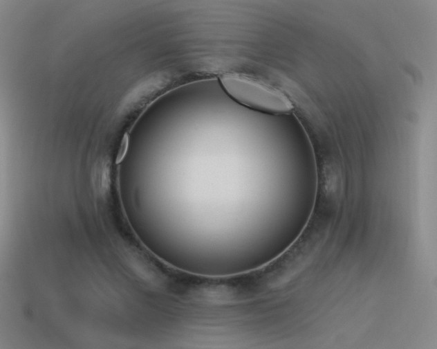 X0000115490685200911061307