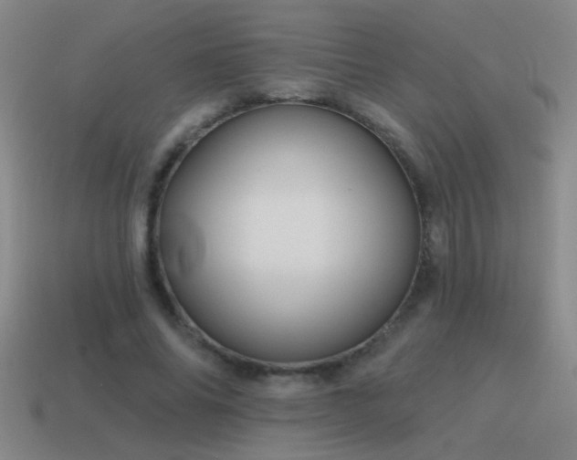 X0000115490686200911061307