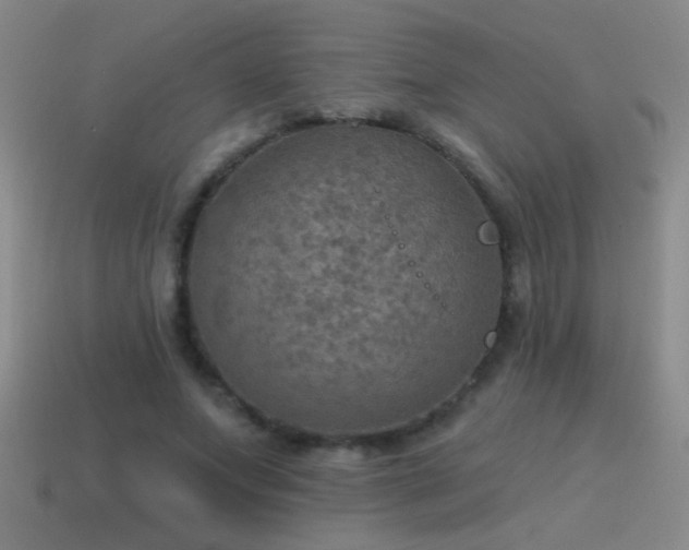 X0000115490687200911061307
