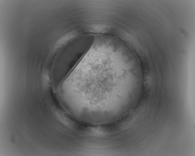 X0000115490688200911061307