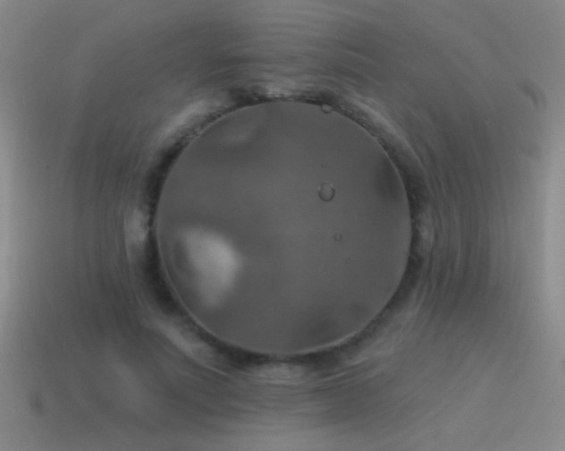 X0000115490691200911061307