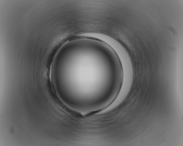 X0000115490692200911061307