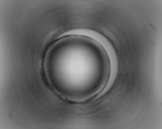 X0000115490693200911061307