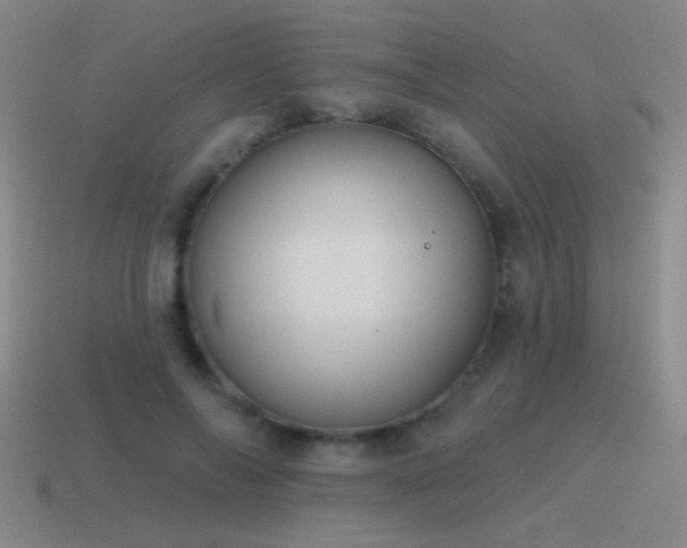 X0000115490694200911061307