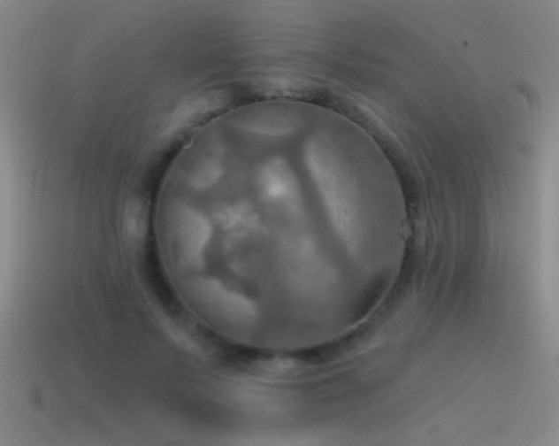 X0000115490695200911061307