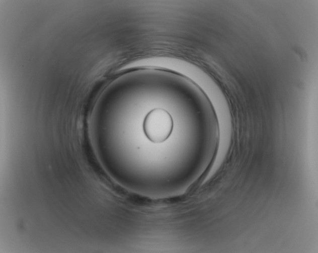 X0000115490696200911061307