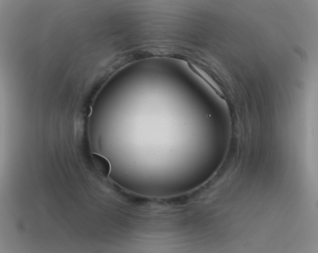 X0000115490697200911061307