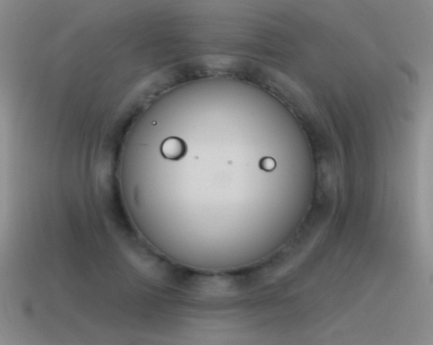X0000115490698200911061307
