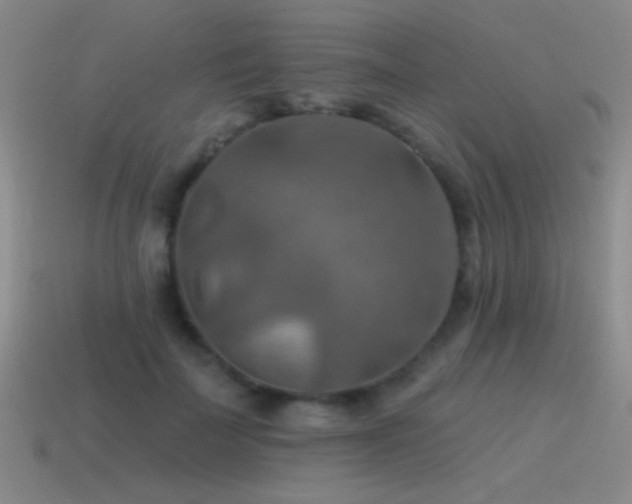 X0000115490699200911061307