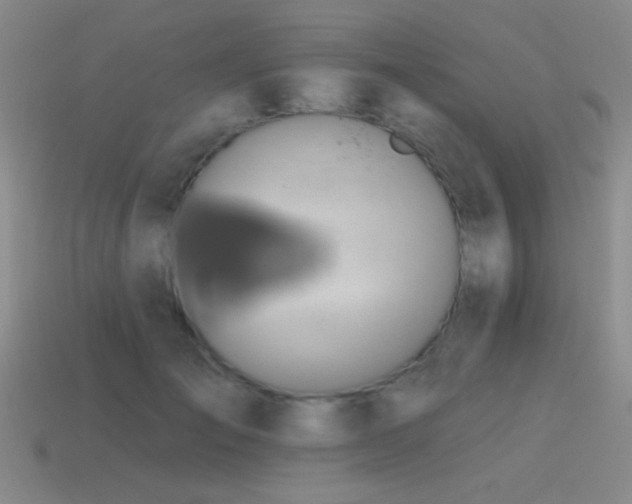 X0000115490701200911061307