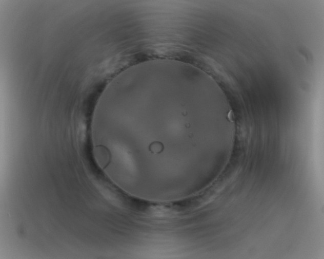 X0000115490703200911061307