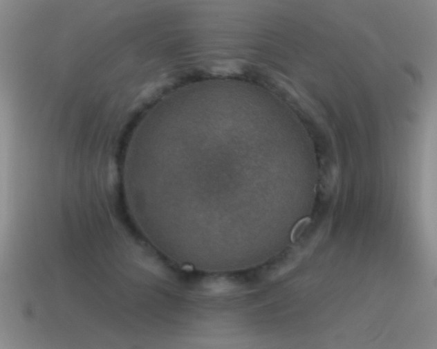 X0000115490704200911061307