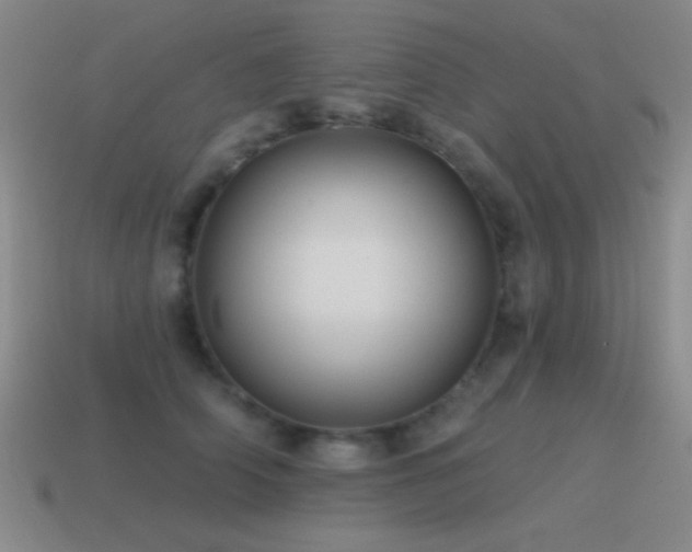 X0000115490706200911061307