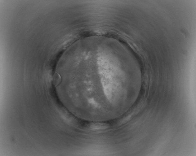 X0000115490707200911061307
