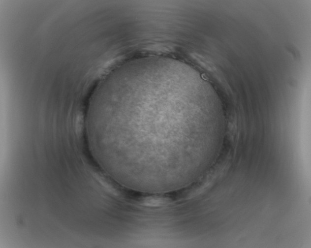 X0000115490708200911061307