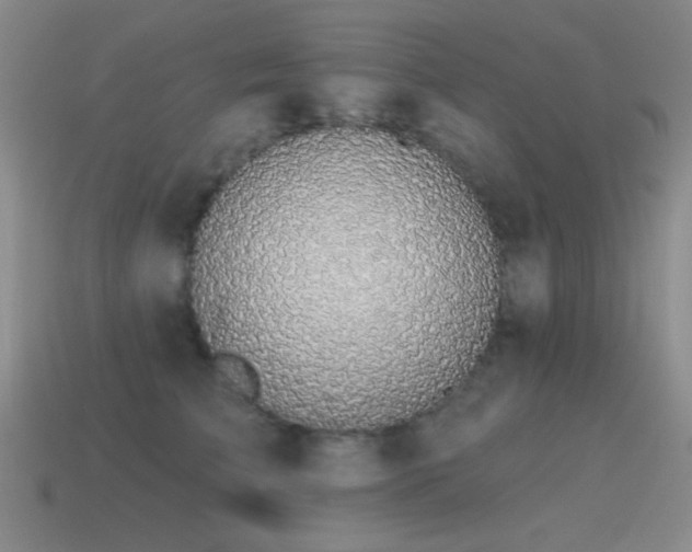X0000115490709200911061307