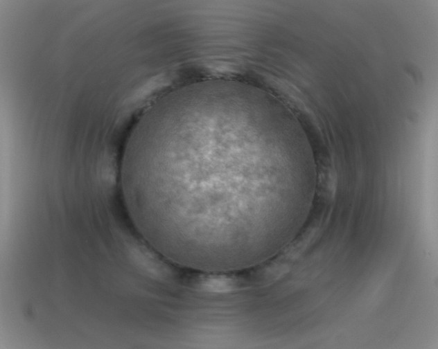 X0000115490710200911061307