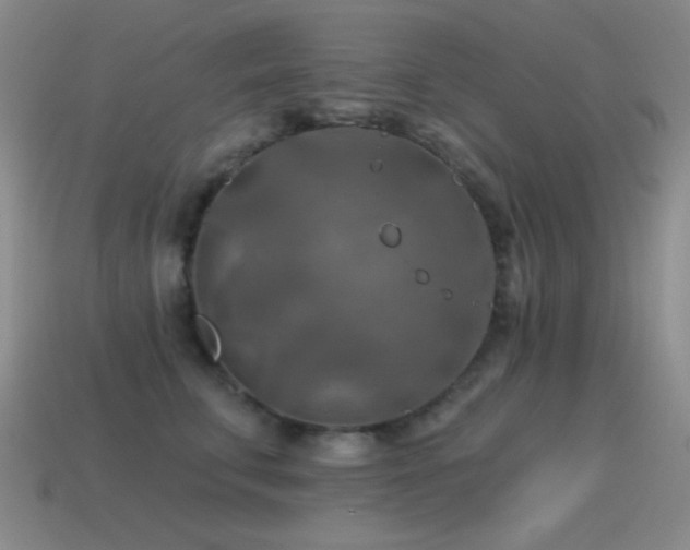 X0000115490711200911061307