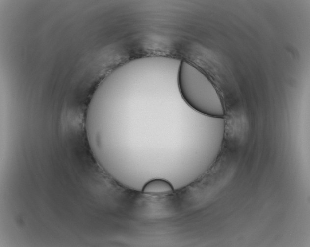 X0000115490713200911061307
