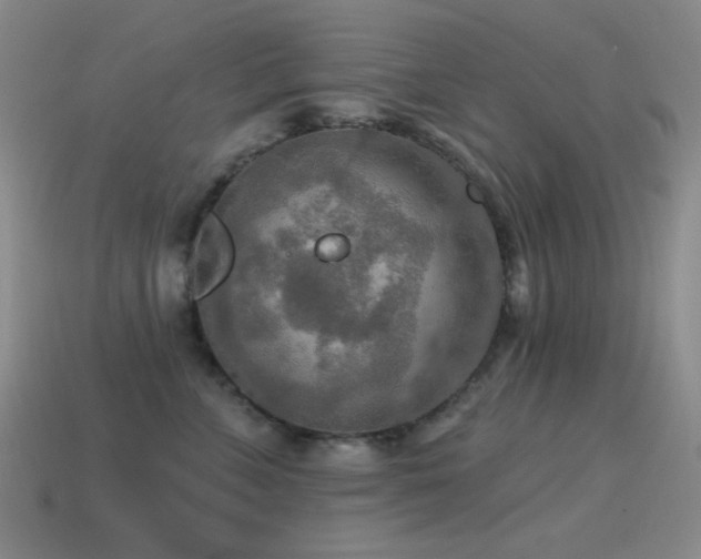X0000115490715200911061307