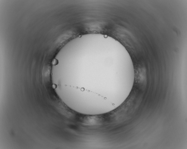 X0000115490717200911061307