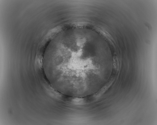 X0000115490718200911061307