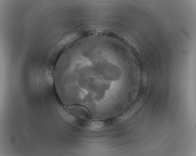 X0000115490719200911061307